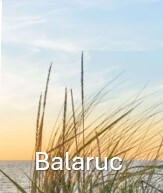 Balaruc copro