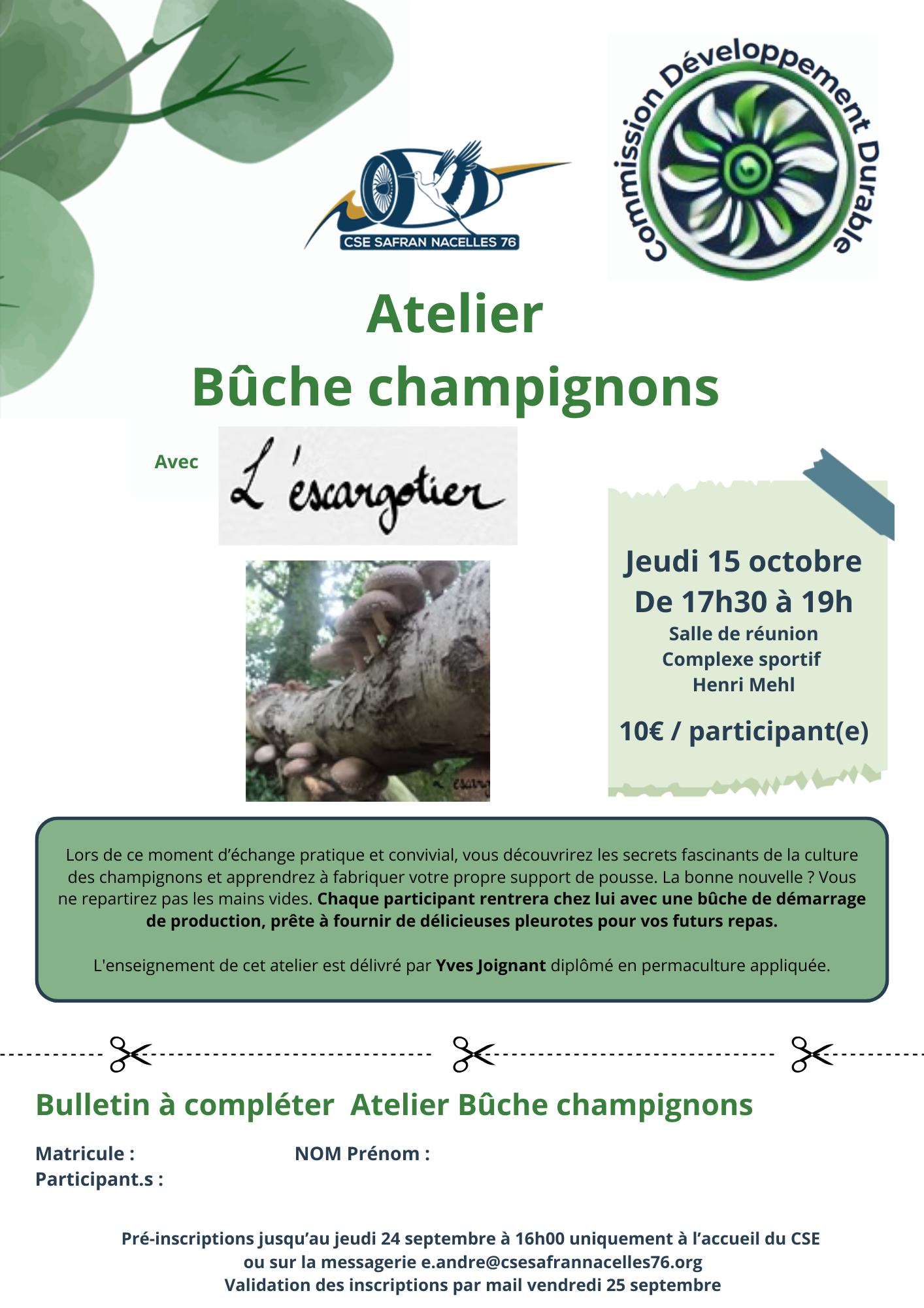 Comm Bûche champignons