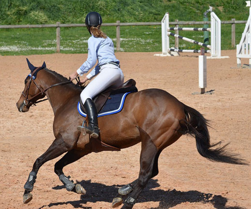 equitation