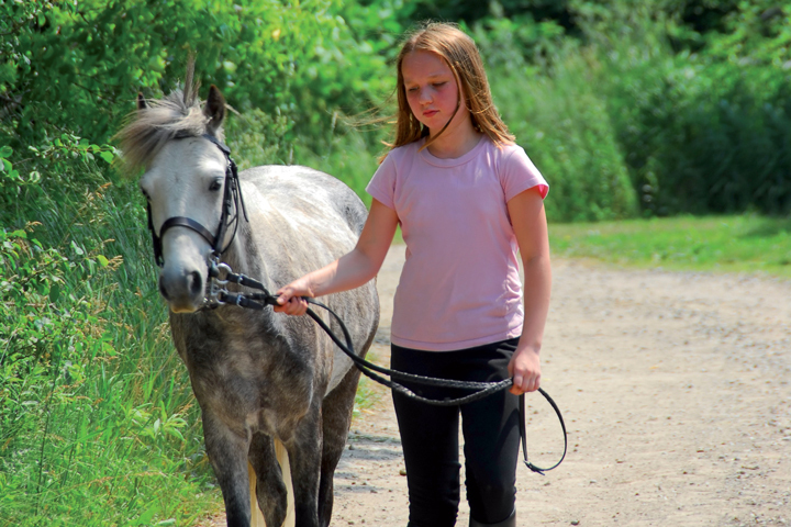 EQUITATION