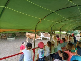 la ferme