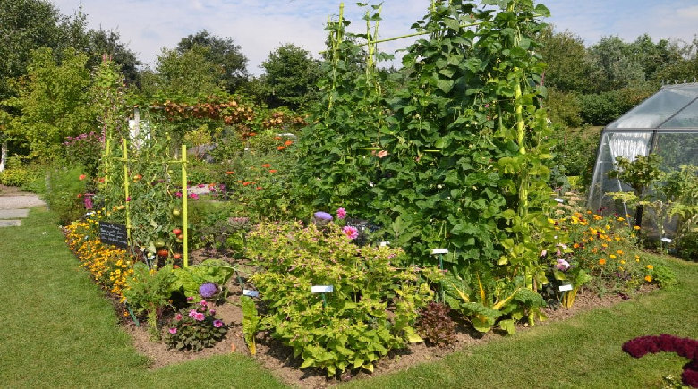 Permaculture