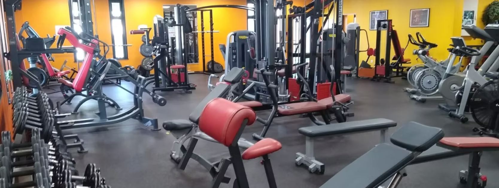 photo muscu.JPG