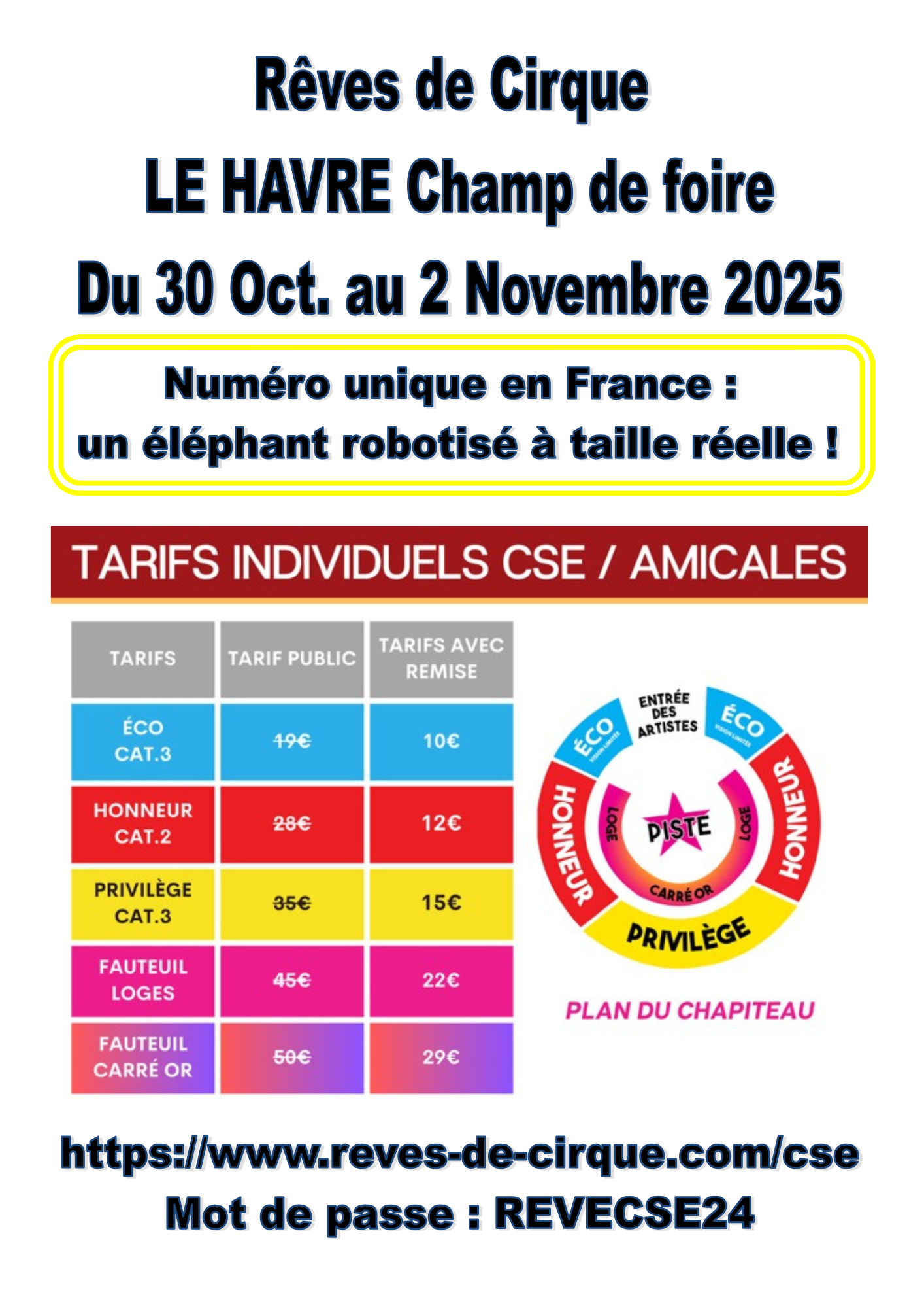 REVES DE CIRQUE (2)