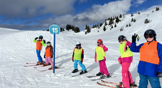 ski
