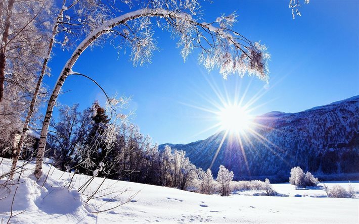 thumb2-winter-snow-mountains-forest-river