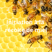 Vignette Initiation Récolte Miel avec texte