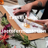 Vignette Lacto et Tataki