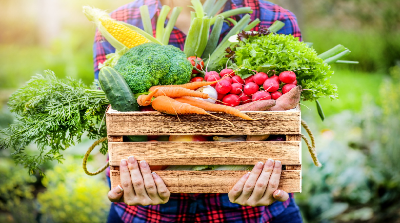 Vente paniers de légumes